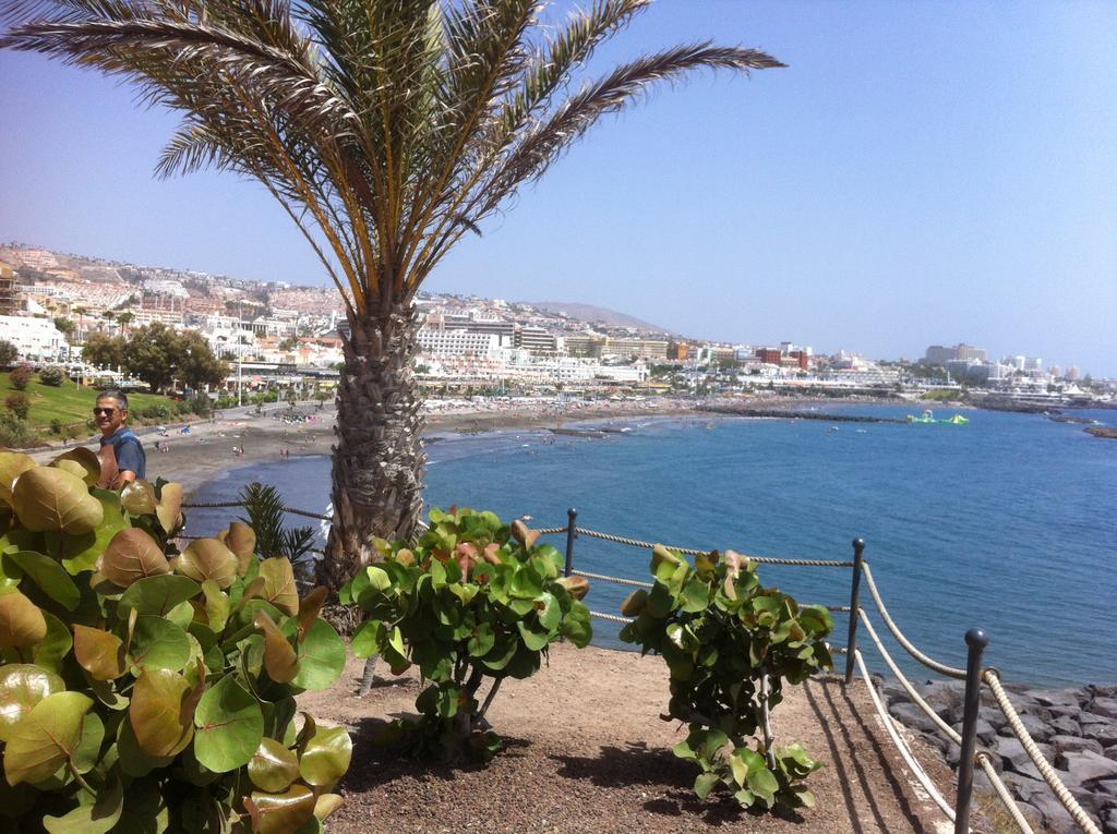 Paraiso Del Palm Mar المظهر الخارجي الصورة